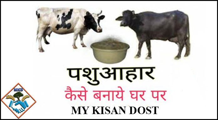 Pashu Ahaar Kaise Banaye