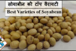 6 Best Varieties of Soyabean सोयाबीन की टॉप वैरायटी